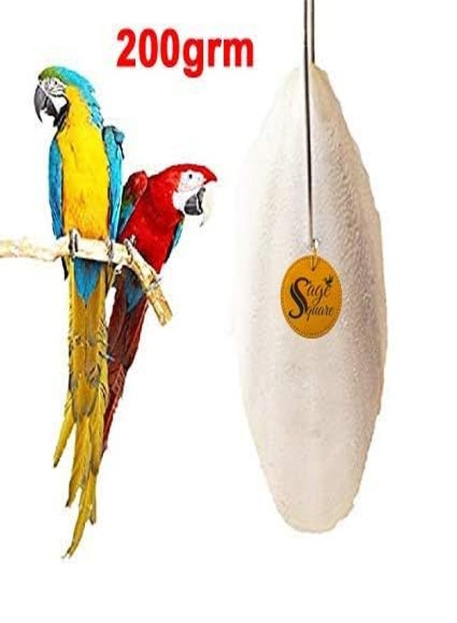 Sage Square Natural Calcium Source Cuttlebone Fish, Natural Mineral Block, Calcium, for Birds, Parrot (200grm) - Image 2